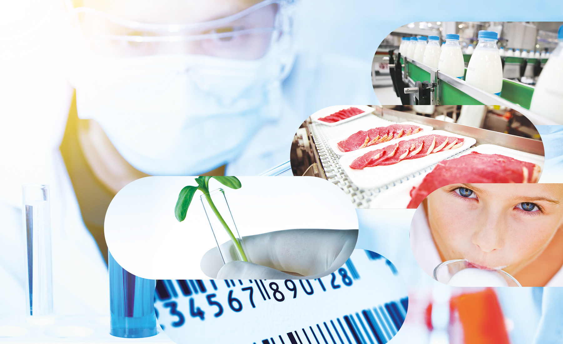 Securfood Lille<br>à l